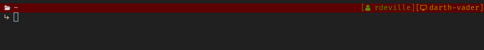 Prompt v1 Common General Variables 256 colors